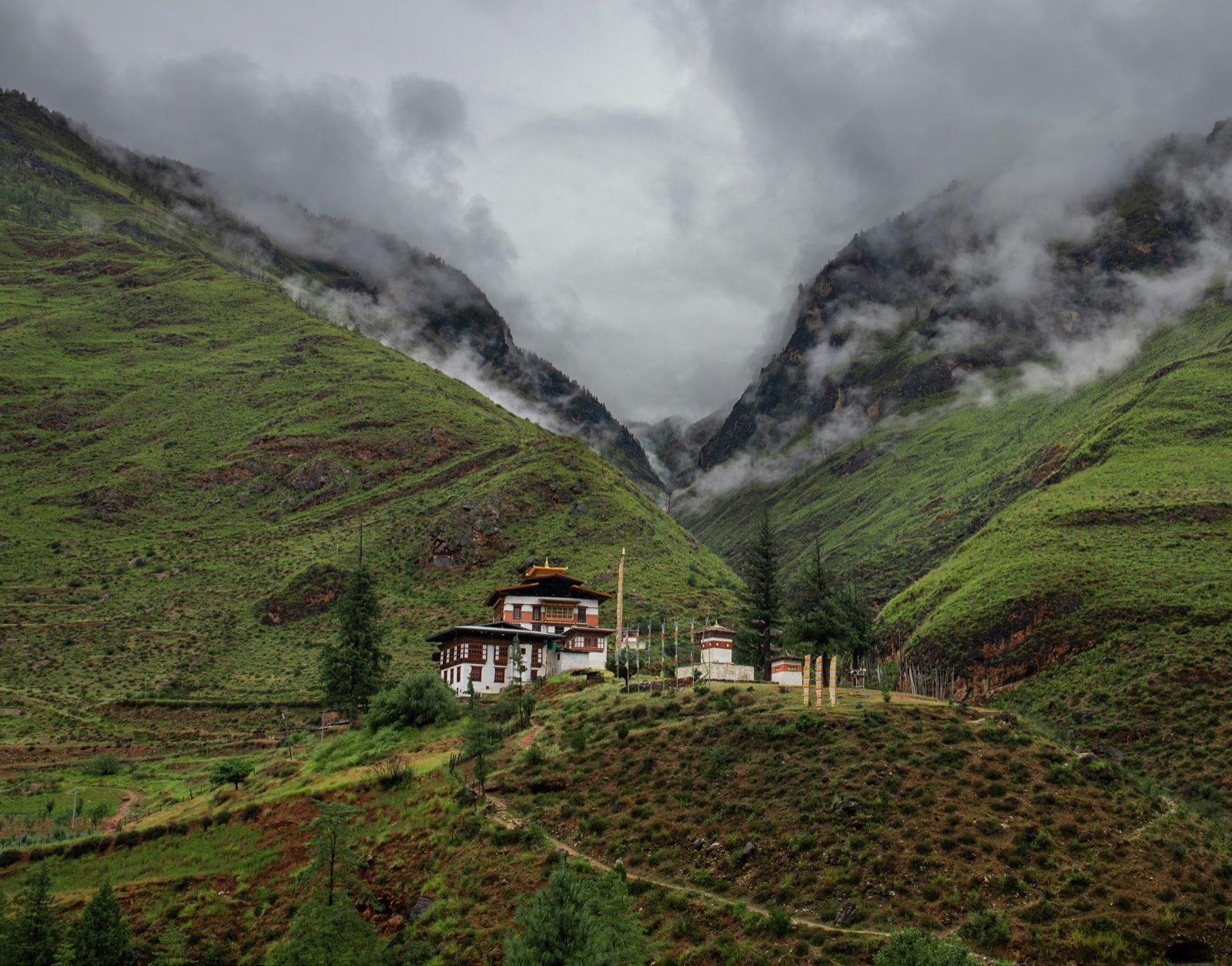 The road climbing into Bhutan’s forested mountains